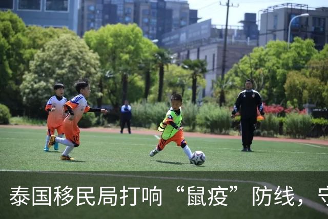 泰国移民局打响“鼠疫”防线，守护国门如同看门狗